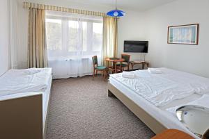 Krevet ili kreveti u jedinici u okviru objekta Hotel Laguna Slapy