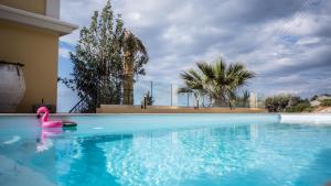 ein Pool mit einer rosa Gummiente im Wasser in der Unterkunft Olenia Residence in Agia Pelagia