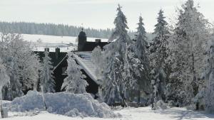 śnieżny las drzew z pociągiem w obiekcie Hotel Bozi Dar - Excalibur w mieście Boží Dar