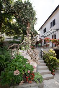 una escalera de piedra con un árbol y algunas flores en Vacation home, Ferienhaus KLAUDIA in Kraj, Mošćenička Draga near Opatija en Mošćenička Draga