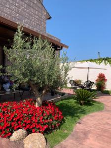 un jardín con flores rojas y un árbol en Villaprado en Cambados