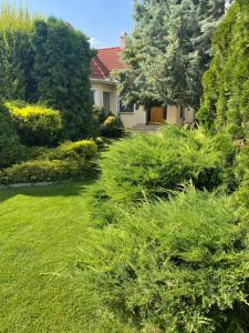 un giardino con cespugli verdi e una casa di Villa Relax Apartman a Gárdony