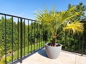 una palmera en una olla en un balcón en Violetta Vendégház, en Keszthely