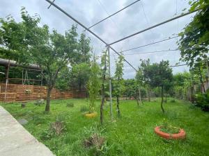 un jardín con árboles en medio de un campo en Hostel FORREST en Kutaisi