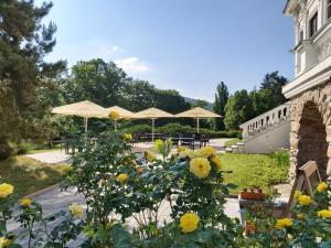 Hotel U Zámečku Cihelny tesisinin dışında bir bahçe