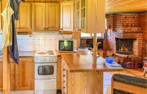 A kitchen or kitchenette at Nice Home In Ludvika With House Sea View