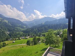 vista su una verde collina con montagne sullo sfondo di Appartement Melinda Ebnit a Dornbirn