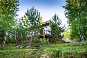 una cabina nel bosco con alberi di Lapsu ciems a Sece