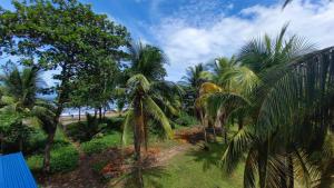 A garden outside Hotel Pura Natura Beachfront Tortuguero