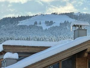 Das gemütliche Chalet im Bergdoktordorf Ellmau durante o inverno