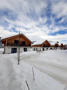 a group of wooden buildings in the snow at Alpenchalets Nassfeld in Rattendorf