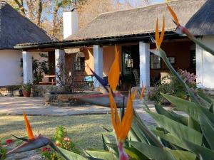 Градина пред Waterberg Cottages, Private Game Reserve