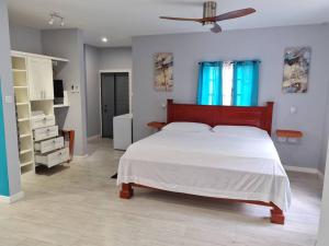 a bedroom with a large bed and a ceiling fan at Coconut Creek Deluxe Suite in Hyde Park