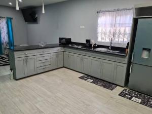 a kitchen with gray cabinets and a counter top at Coconut Creek Deluxe Suite in Hyde Park