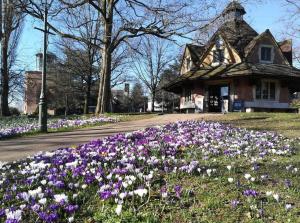 The Snug@Bournville 야외 정원