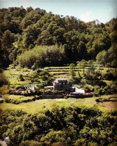 una casa en medio de un campo con árboles en The Shire of Sagada en Sagada