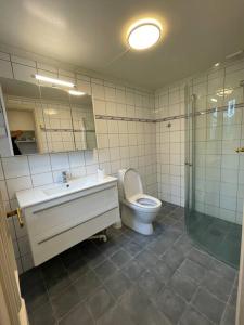 Vannas istaba naktsmītnē Apartament with access to garden, central, quiet and with free parking