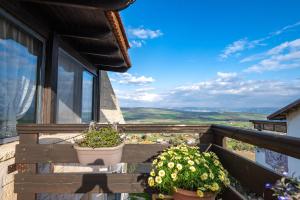 einen Balkon mit zwei Topfpflanzen und einem Fenster in der Unterkunft Suite Kolibri in Galilee in Semadar