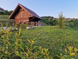 una casa de madera en una colina en un campo en Vineyard cottage Vinska grajska kašča en Mirna