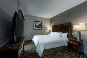 una camera con letto e TV a schermo piatto di Embassy Suites Saratoga Springs a Saratoga Springs