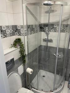 uma casa de banho com chuveiro e WC em Apartament Reszel em Reszel