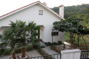 uma casa branca com uma palmeira em frente em Ecorustics stay - Casa Estêvão em São Pedro do Sul