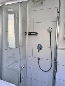 La salle de bains est pourvue d'une douche avec une porte en verre. dans l'établissement Sophie Flair Apartment, à Karlsruhe