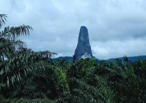 een uitzicht op een rots in de jungle met bomen bij Ilhéu Castle in Ilheu das Rolas