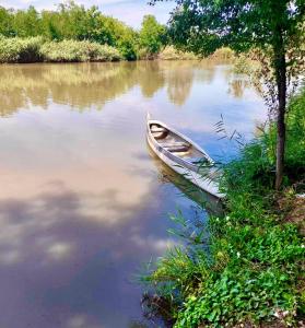 Vaizdas į šalia atostogų būsto tekančią upę