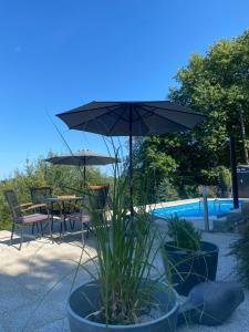 un patio con mesa y sombrilla junto a la piscina en Relax House Lara in Krapinske Toplice, en Krapinske Toplice