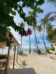 - une plage avec des palmiers et l'océan dans l'établissement Met House, à Thulusdhoo