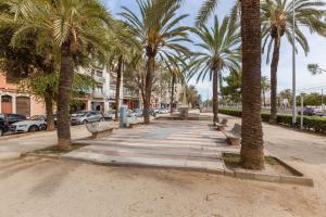 un parc avec des palmiers et des bancs dans une rue dans l'établissement Sant Pere, à Mataró