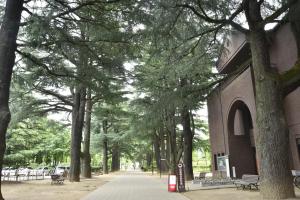 wysadzany drzewami chodnik obok budynku z ławkami w obiekcie Hotel Montagne Matsumoto w mieście Matsumoto