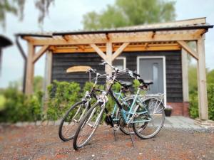 Anar amb bici a Bed & Breakfast Bij de Wilg o pels voltants