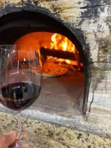 una persona sosteniendo una copa de vino frente a un horno de pizza en Aconchegante casa com piscina e lazer completo en Teresópolis