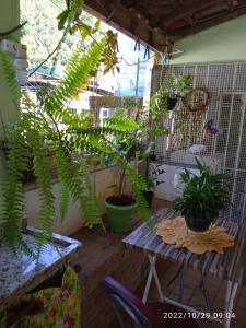 un patio con un montón de plantas y una mesa en Pertinho da Mata en Cachoeiras de Macacu