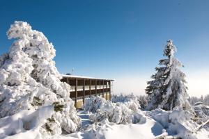 拜爾斯布龍的住宿－斯利福卡夫國家公園酒店，一群被雪覆盖的树木在建筑物前