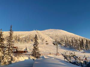 una montaña cubierta de nieve con un remonte en Nybyggd 8-bäddars skidstuga i Lofsdalen, en Lofsdalen