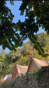 een groep tenten op een heuvel met bomen bij Neerville Waterfall Glamping- Neer waterfall in Shivpuri