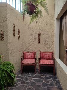 dos sillas sentadas junto a una pared con plantas en The Cozy Cactus House Cartago Centro English Spoke en Cartago