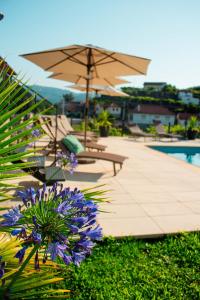 - une terrasse avec un parasol et des fleurs violettes à côté d'une piscine dans l'établissement Casa das Letras - Turismo rural, à Ponte da Barca