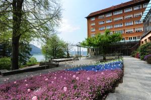 un jardín con flores moradas y azules frente a un edificio en Hotel Ländli en Oberägeri