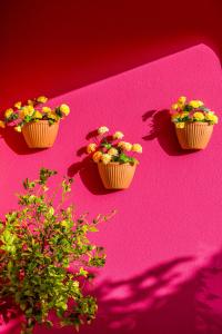 drei Cupcakes auf rosa Oberfläche mit Blumen darin in der Unterkunft Vila Graciosa - Tranquility Oasis in Lagos