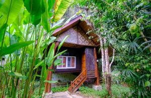 Kebun di luar Khao Sok Silver Cliff Resort