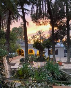 una casa con palmeras frente a la puesta de sol en Pink Lemon House en Elche