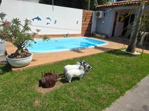 dos estatuas de ovejas en el césped cerca de una piscina en Casa Rosa, en Cuiabá