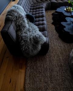 um bicho de peluche deitado num sofá numa sala de estar em Siren Tasmania em White Beach