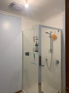 y baño con ducha y puerta de cristal. en Riverdale Cozy Nest en Palmerston North