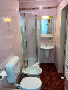 une salle de bains rose avec toilettes et lavabo. dans l'établissement Flóra Panzió, à Miskolctapolca