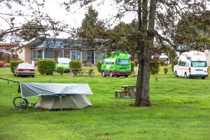 une tente assise dans l'herbe à côté d'un arbre dans l'établissement Te Anau Lakeview Holiday Park & Motels, à Te Anau